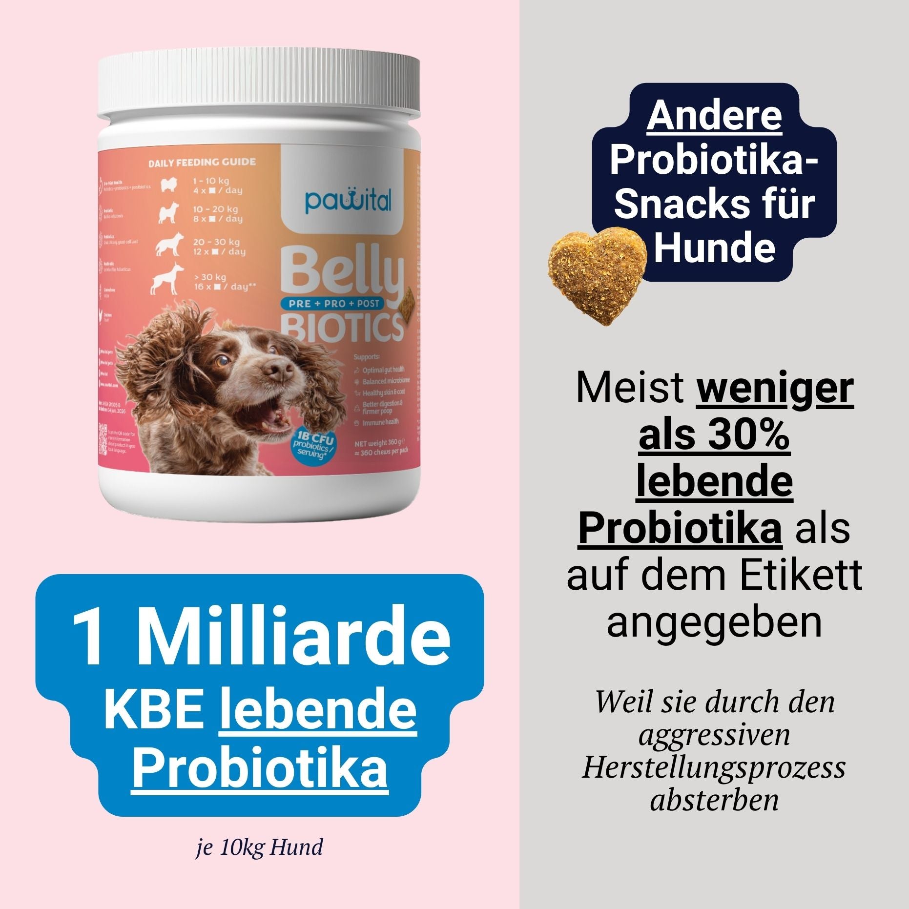 Belly Biotics (360 treats UK)