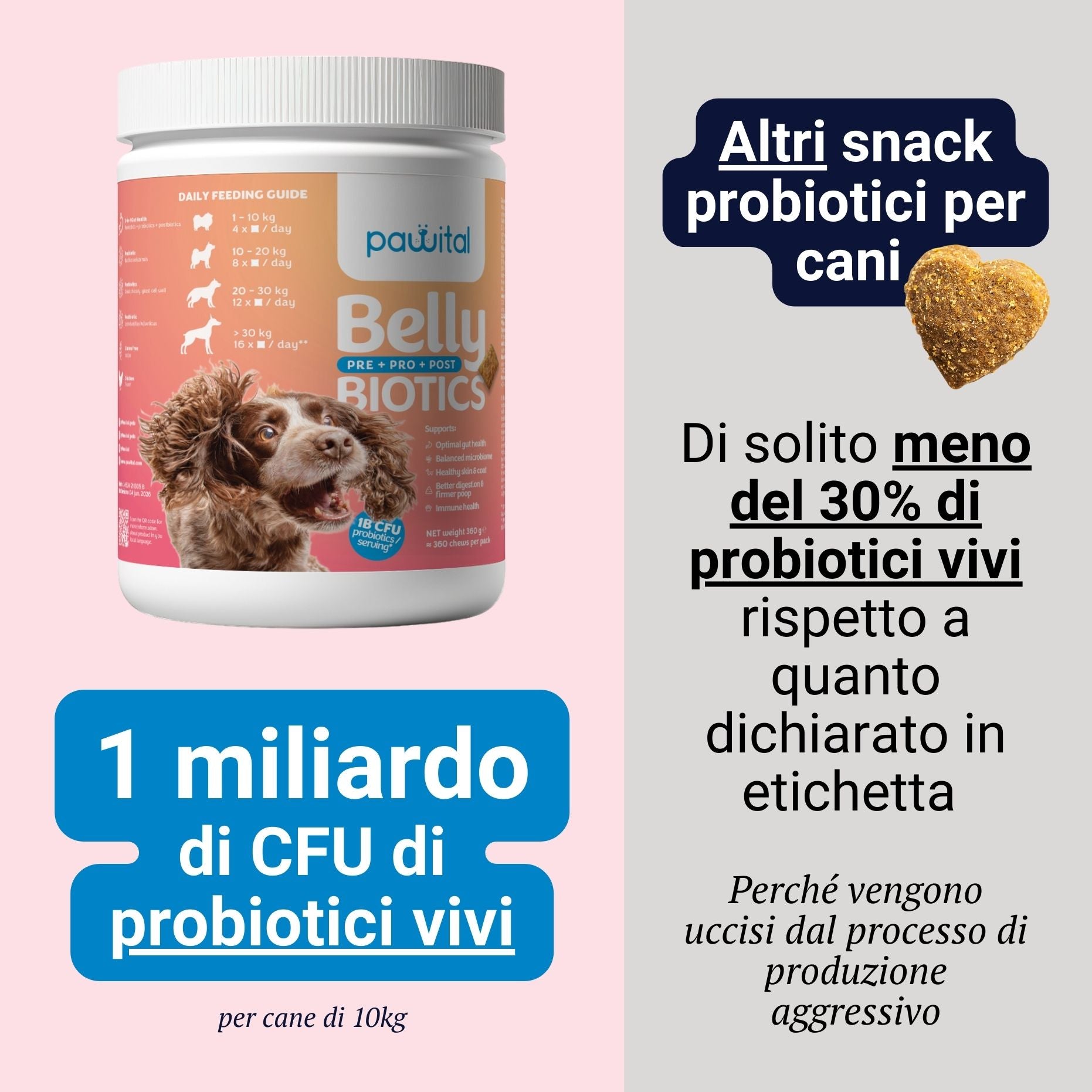 Belly Biotics (360 treats UK)