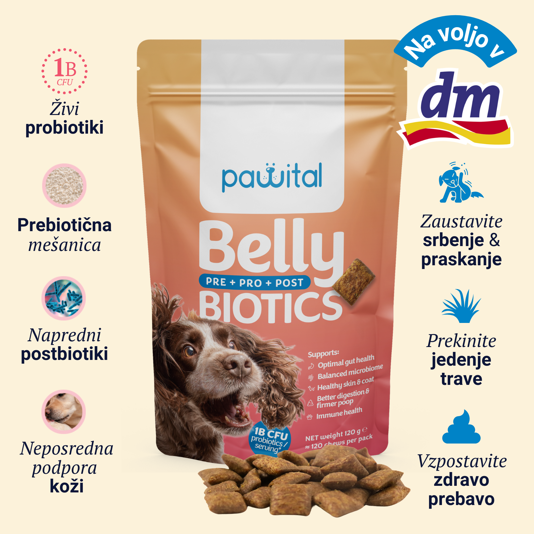 Belly Biotics