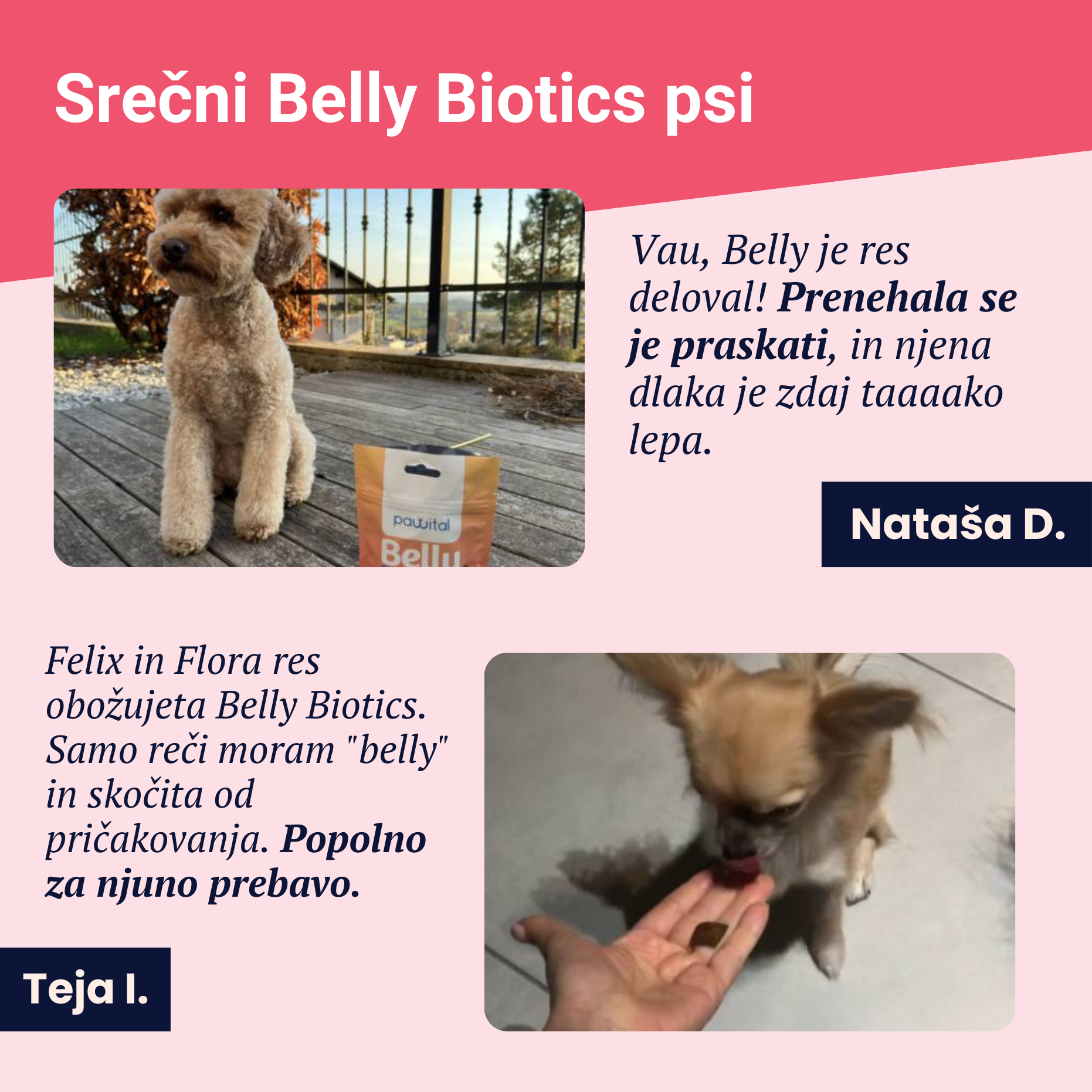 Belly Biotics (360 treats UK)