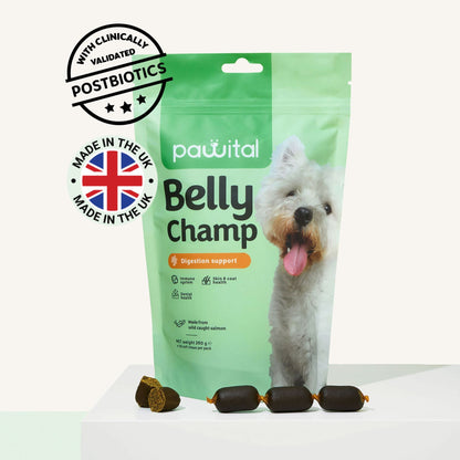 Belly Champ